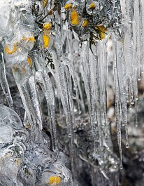 Word of the day: "clinkerbell" - icicle (Somerset; archaic). Other regional names for icicles include "aquabob" (Kent), "ickle" 